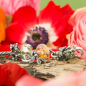 Preview: Trollbeads - Zeitlose Eleganz