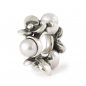 Preview: Trollbeads - Frühling 2024 - Silber mit Perlen