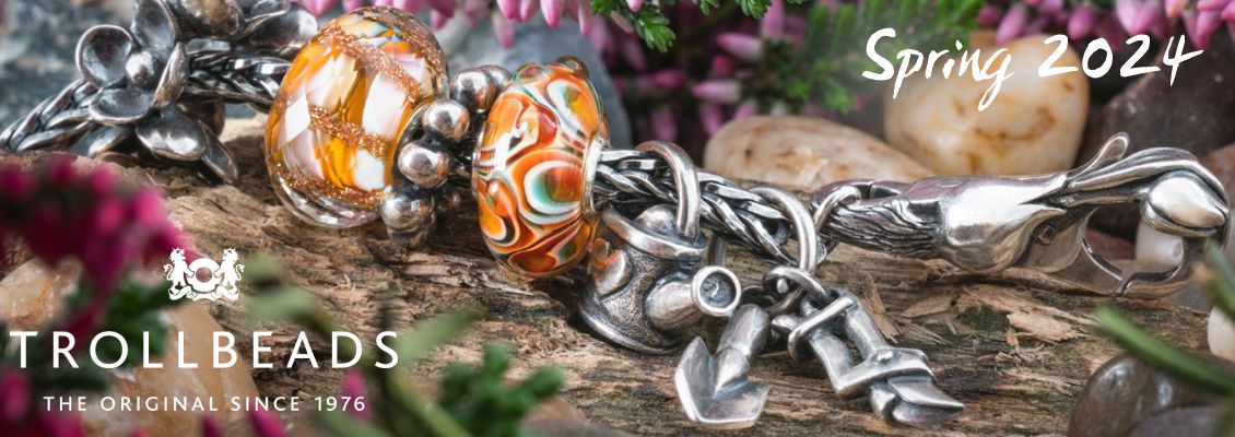 Trollbeads wisdom store bracelet